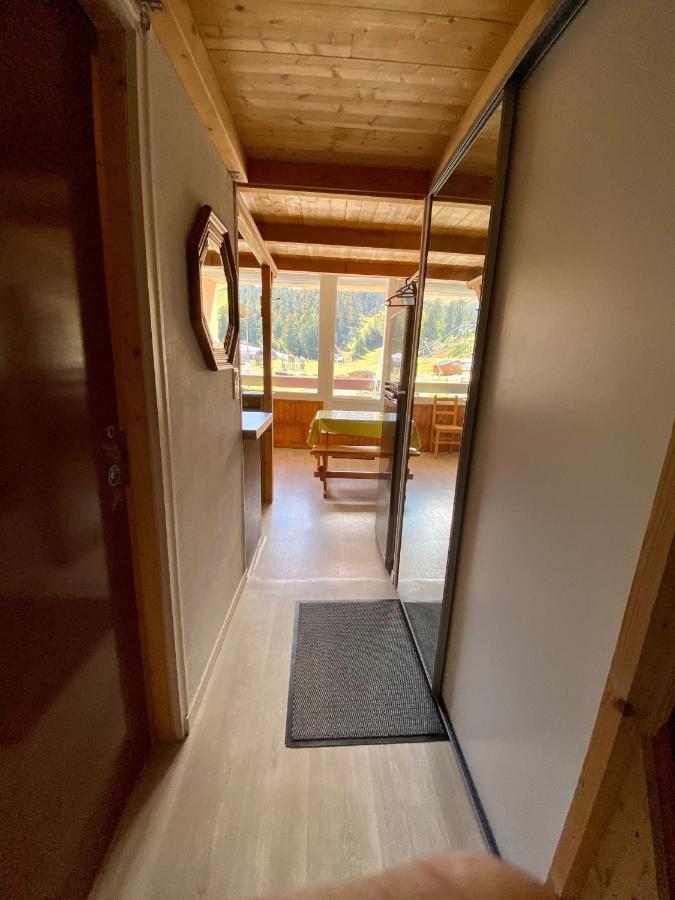 Super Lioran - Appartement Entierement Equipe Laveissière Extérieur photo